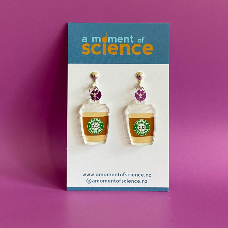Pair of Clip-on Earring Findings