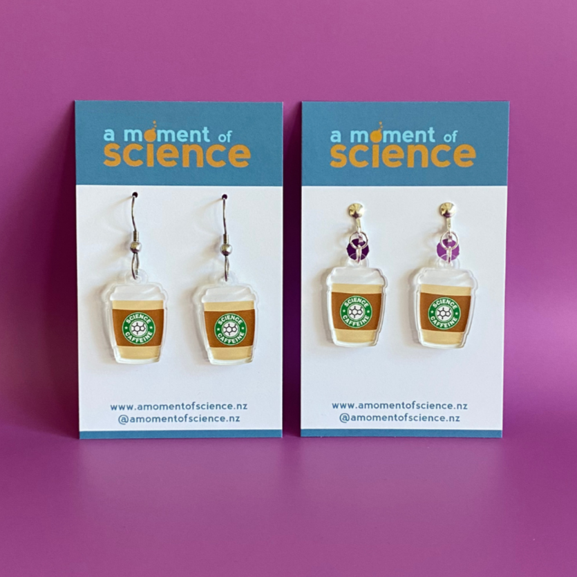 Pair of Clip-on Earring Findings